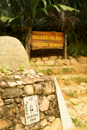 Valle de Mai.jpg